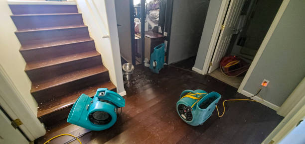 Best Emergency water damage restoration  in Lake Isabella, CA