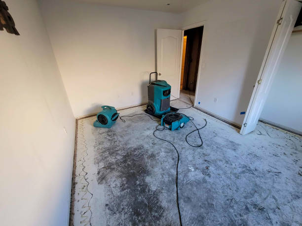 Best Water damage contractors near me  in Lake Isabella, CA