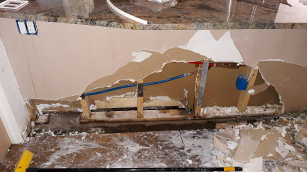Best 24-hour water damage restoration  in Lake Isabella, CA