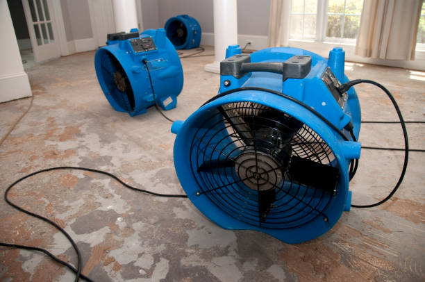Carpet water damage restoration in CA