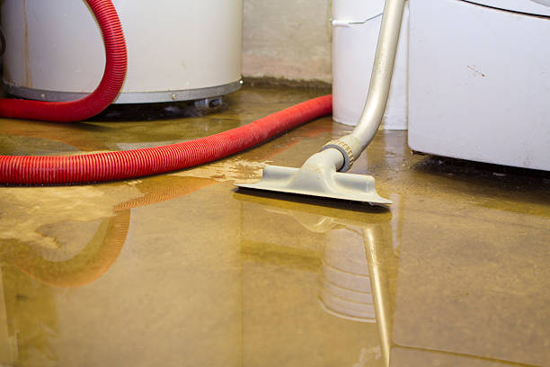Best Ceiling water damage repair  in Lake Isabella, CA