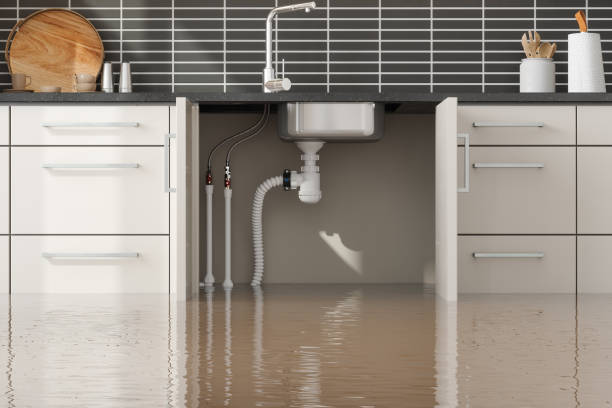 Best Water damage cleanup near me  in Lake Isabella, CA