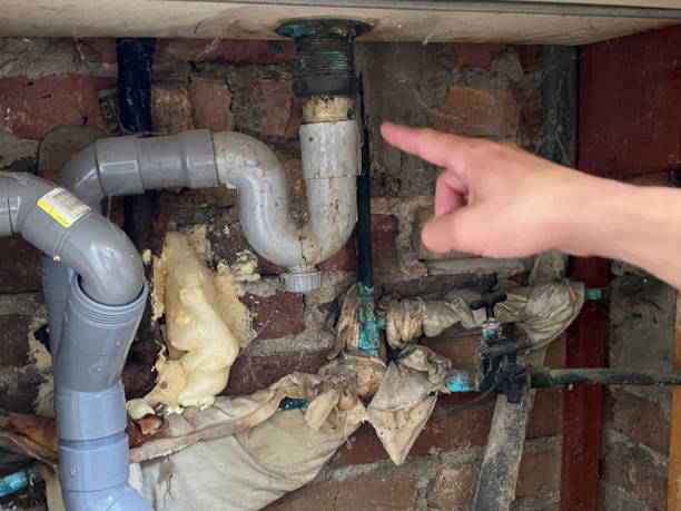 Best Professional water damage repair  in Lake Isabella, CA