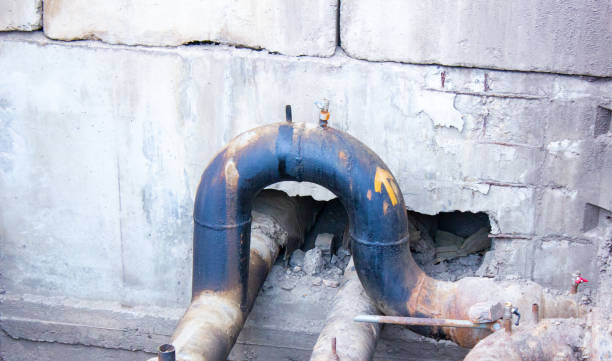 Best Local water damage restoration  in Lake Isabella, CA