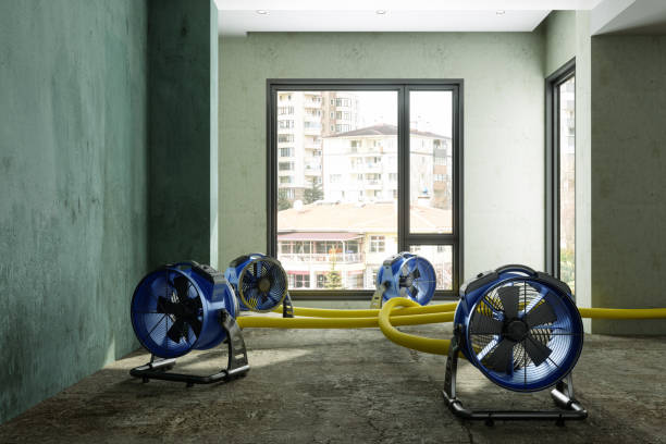 Best 24/7 water damage repair  in Lake Isabella, CA